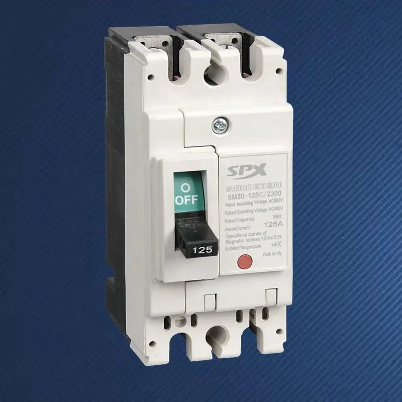 Disyuntor de caja moldeada 2P 125A